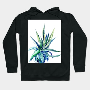 Aloe desert southwestern plants Hoodie